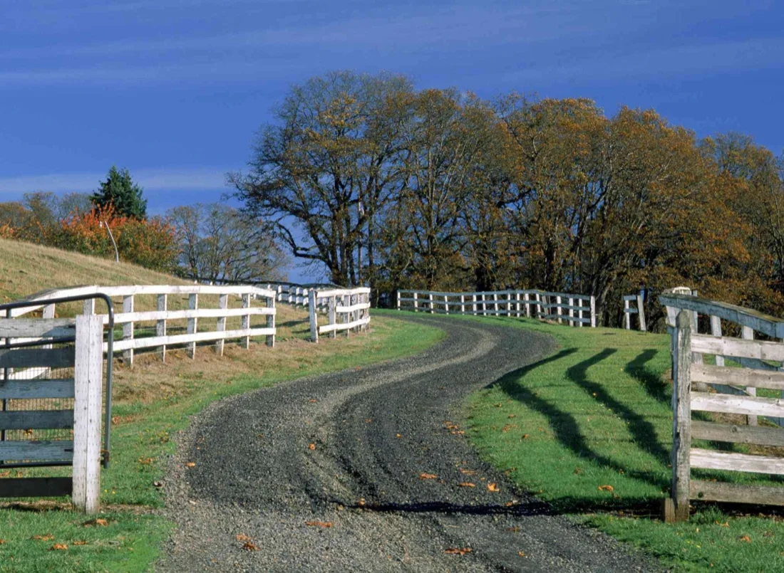 Gravel driveway running through a rural wooded property